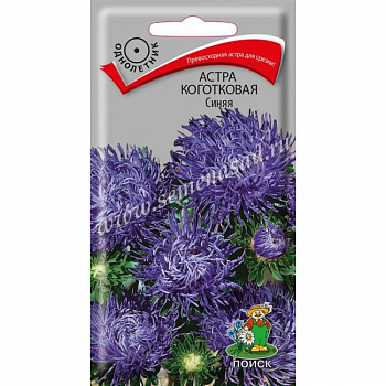 Астра коготковая Синяя