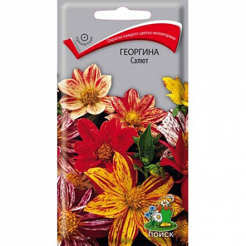 Георгина Салют