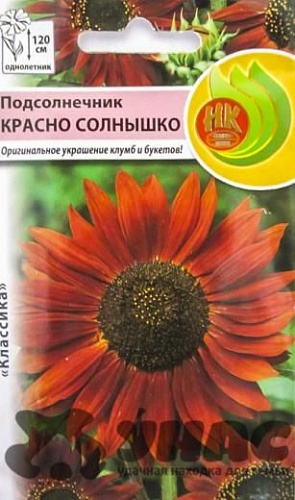 Подсолнечник Красно Солнышко