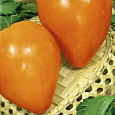 Томат Оранжевое сердце