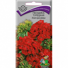 Гвоздика Турецкая Алая красавица