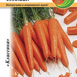 Морковь  Флайвей F1