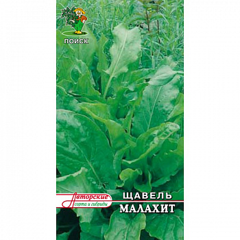 Щавель Малахит
