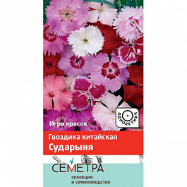Гвоздика Китайская Сударыня