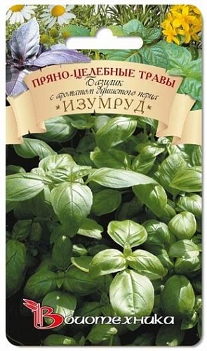 Базилик  Изумруд