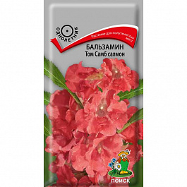 Бальзамин Том Самб салмон