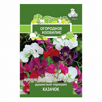Душистый горошек Казачок