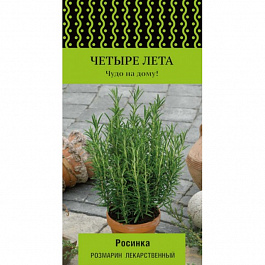 Розмарин лекарственный Росинка