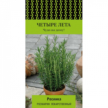 Розмарин лекарственный Росинка