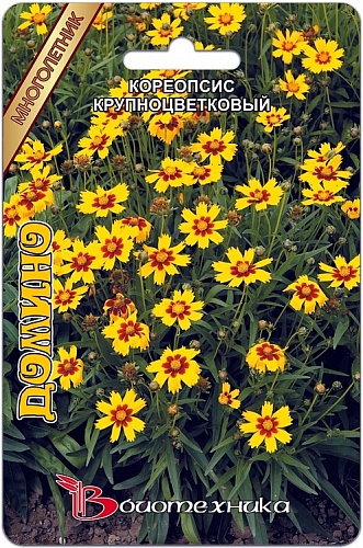 Кореопсис крупноцветковый Домино