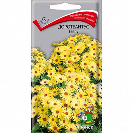 Доротеантус Еллоу