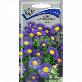 Астра альпийская Голубая