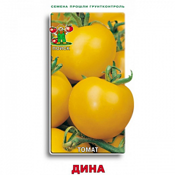 Томат Дина