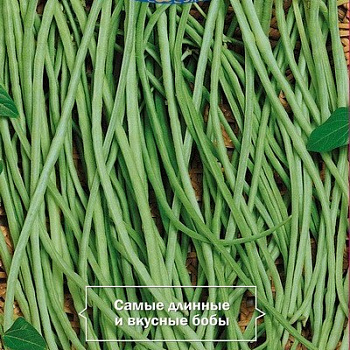 Вигна Лилиана