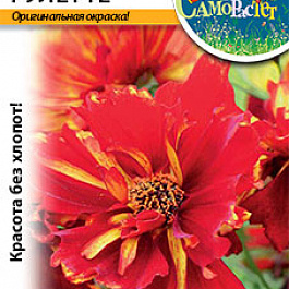 Кореопсис Рулетте
