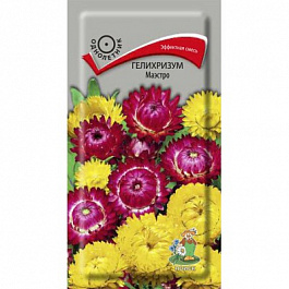 Гелихризум Маэстро