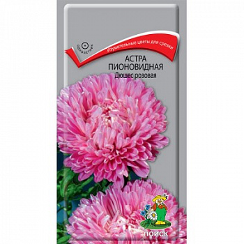 Астра пионовидная Дюшес розовая Астра пионовидная Дюшес розовая