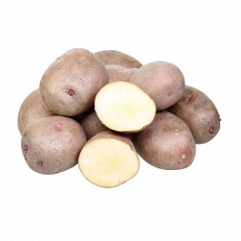 Картофель семенной Ильинский