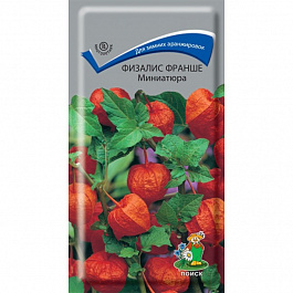 Физалис Франше Миниатюра