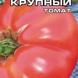 Томат (Помидор) обыкновенный Бердский Крупный