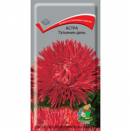 Астра Татьянин день