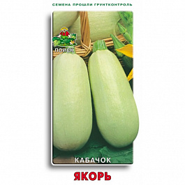 Кабачок Якорь