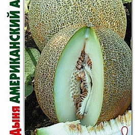 Дыня  Американский ананас