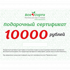 Подарочный сертификат на 10000 рублей