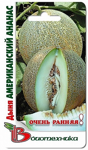 Дыня  Американский ананас
