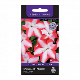 Бальзамин Акцент Ред Стар