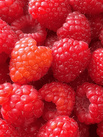 Малина обыкновенная Zamatos