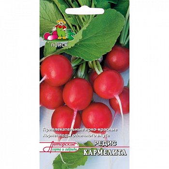 Редис Кармелита