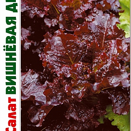 Салат Вишневая дымка
