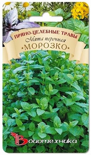 Мята Перечная Морозко