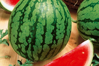 Арбуз Эдем F1