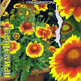 Гайлардия остистая Primavera