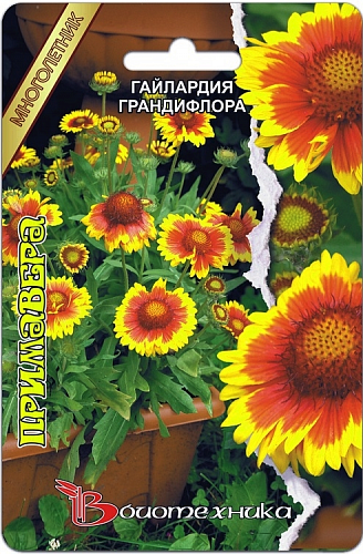Гайлардия остистая Primavera