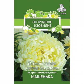 Астра пионовидная Машенька
