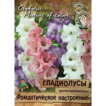 Гладиолус крупноцветковый Романтическое настроение