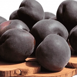 Абрикос Черный принц