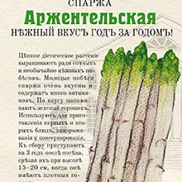 Спаржа (Аспарагус) обыкновенная Аржентельская