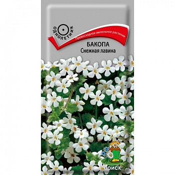 Бакопа Снежная лавина