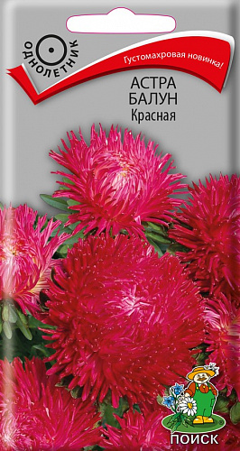 Астра Балун Красная