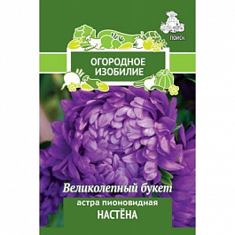 Астра пионовидная Настена