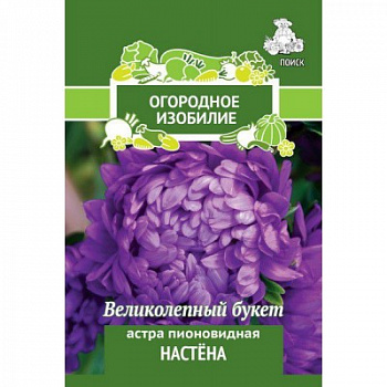 Астра пионовидная Настена