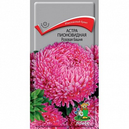 Астра пионовидная Розовая башня