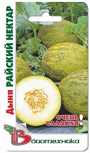 Дыня  Райский нектар