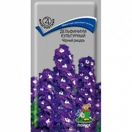 Дельфиниум культурный Черный рыцарь