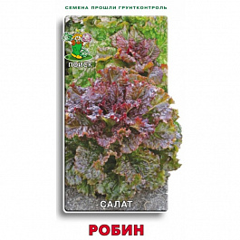 Салат Робин