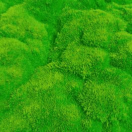 Дивала двухцветковая Selected Bronze